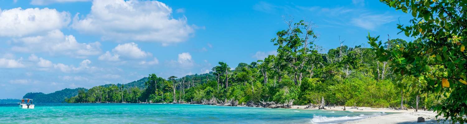 ElephantBeach
