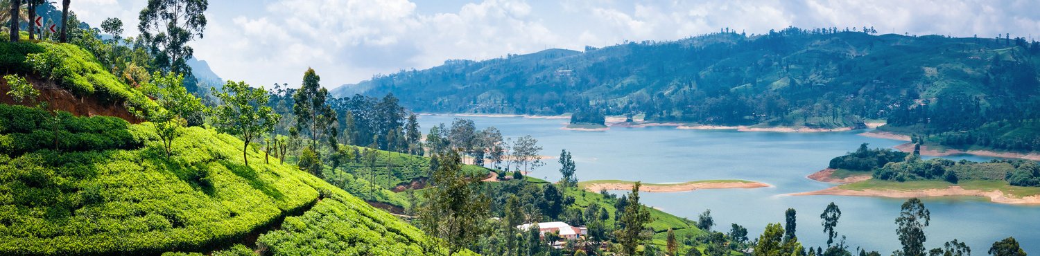 Beautiful view on tea plantation near Nuwara Eliya, Sri Lanka